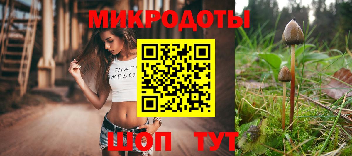 Псилоцибиновые грибы Magic Shrooms Минусинск